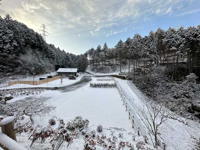 雪のサイト