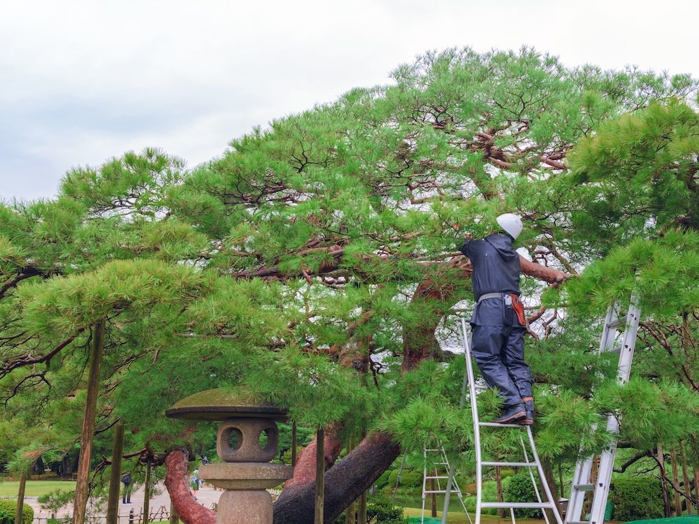 美しい庭園の設計と施工 – 豊田市の住宅